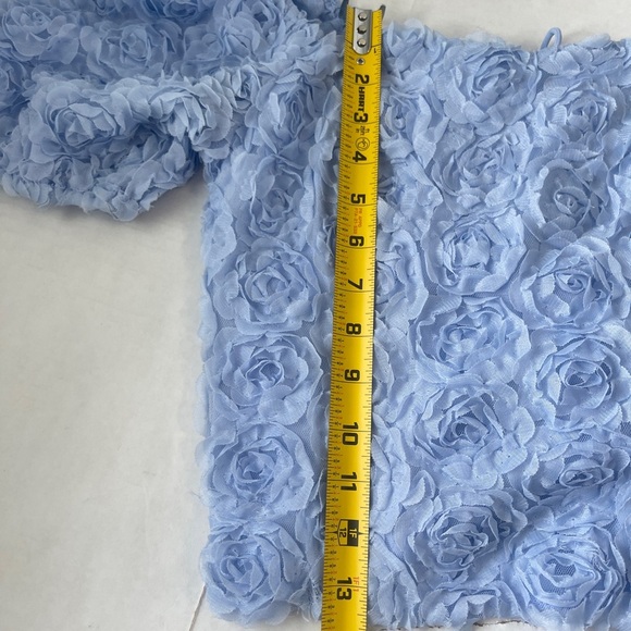 Willow&Root Buckle Women’s Medium Blue Rosette  Cropped Rosette Top Cottagecore - Picture 7 of 7